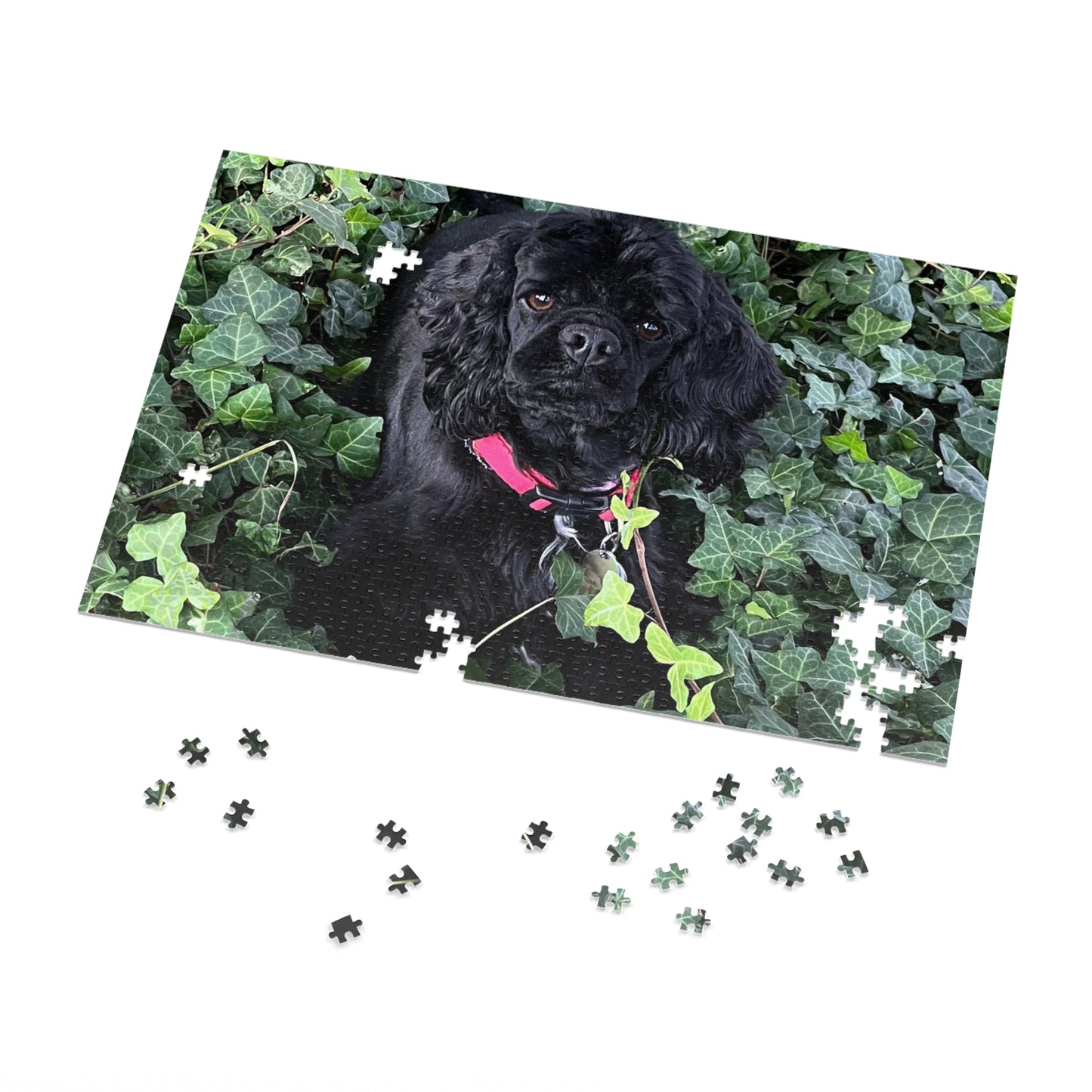 Jigsaw Puzzle (30, 110, 252, 500,1000-Piece)